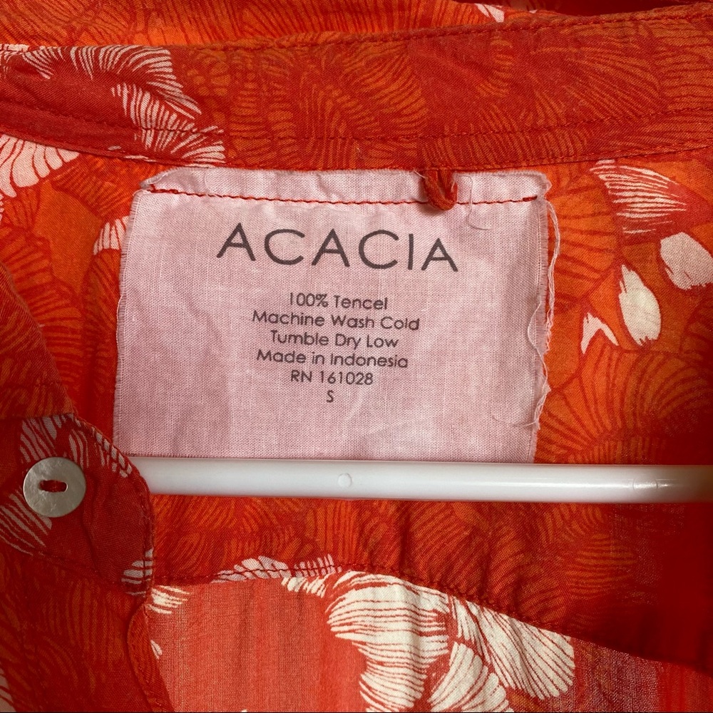 Acacia - Picture 2 of 3